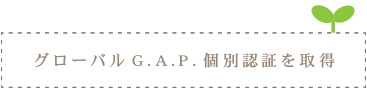 グローバルGAP個別認証を取得